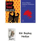 Alfa Yayınları Alman Ekmeği + Everest Açıkhava 39 - Dedemin Madalyası + Kör Baykuş - Hayır
