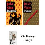 Alfa Yayınları Alman Ekmeği + Reşo Ağa + Kör Baykuş - Hayır