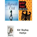 Alfa Yayınları Aynalı Göl + Alman Ekmeği + Kör Baykuş - Hayır