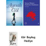 Alfa Yayınları Aynalı Göl + Everest Açıkhava 39 - Dedemin Madalyası + Kör Baykuş - Hayır