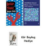 Alfa Yayınları Beyaz Türkü + Everest Açıkhava 42 - Dört Deneme Dört Hikâye + Kör Baykuş - Hayır