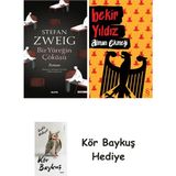Alfa Yayınları Bir Yüreğin Çöküşü + Alman Ekmeği + Kör Baykuş - Hayır