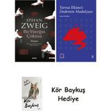 Alfa Yayınları Bir Yüreğin Çöküşü + Everest Açıkhava 39 - Dedemin Madalyası + Kör Baykuş - Hayır