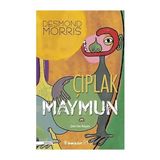 Alfa Yayınları Çıplak Maymun + Yer Altı - Su Altı (Ciltli) + Matematik Kitabı: Büyük Fikirleri Kolayca Anlayın