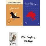 Alfa Yayınları Değirmen + Everest Açıkhava 39 - Dedemin Madalyası + Kör Baykuş - Hayır
