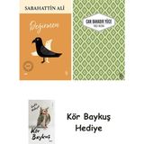 Alfa Yayınları Değirmen + Yaslı Mızıka + Kör Baykuş - Hayır