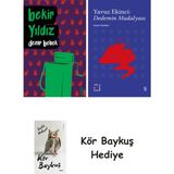 Alfa Yayınları Demir Bebek + Everest Açıkhava 39 - Dedemin Madalyası + Kör Baykuş - Hayır