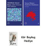 Alfa Yayınları Everest Açıkhava 42 - Dört Deneme Dört Hikâye + Everest Açıkhava 39 - Dedemin Madalyası + Kör Baykuş - Hayır