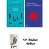 Alfa Yayınları Falaka ve Diğer Öyküler + Everest Açıkhava 39 - Dedemin Madalyası + Kör Baykuş - Hayır