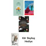 Alfa Yayınları Göl Saatleri + Genç Kız Kalbi + Amok Koşucusu + Kör Baykuş - Hayır