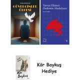 Alfa Yayınları Güvercinler Ülkesi + Everest Açıkhava 39 - Dedemin Madalyası + Kör Baykuş - Hayır