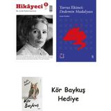 Alfa Yayınları Hikayeci - 5 + Everest Açıkhava 39 - Dedemin Madalyası + Kör Baykuş - Hayır