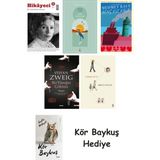 Alfa Yayınları Hikayeci - 5 + Göl Saatleri + Genç Kız Kalbi + Bir Yüreğin Çöküşü + Görme Huyu + Kör Baykuş - Hayır