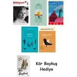 Alfa Yayınları Hikayeci - 5 + Göl Saatleri + Genç Kız Kalbi + Falaka ve Diğer Öyküler + Değirmen + Kör Baykuş - Hayır