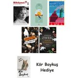Alfa Yayınları Hikayeci - 5 + Göl Saatleri + Genç Kız Kalbi + Katip Bartleby + Amok Koşucusu + Kör Baykuş - Hayır