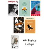 Alfa Yayınları Hikayeci - 5 + Göl Saatleri + Genç Kız Kalbi + Katip Bartleby + Değirmen + Kör Baykuş - Hayır