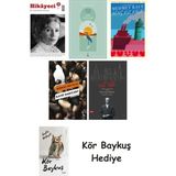 Alfa Yayınları Hikayeci - 5 + Göl Saatleri + Genç Kız Kalbi + Katip Bartleby + Nat Tate + Kör Baykuş - Hayır