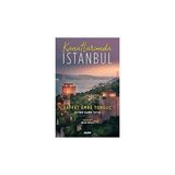 Alfa Yayınları Kanatlarımda Istanbul + Dost ve Düşman Bakteriler: Dünyanın Neden Bakterilere Ihtiyacı Var? + 38 Kitap Set - Hayır