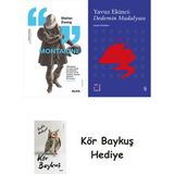 Alfa Yayınları Montaigne + Everest Açıkhava 39 - Dedemin Madalyası + Kör Baykuş - Hayır