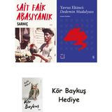 Alfa Yayınları Sarnıç + Everest Açıkhava 39 - Dedemin Madalyası + Kör Baykuş - Hayır