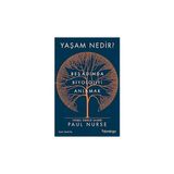 Alfa Yayınları Yaşam Nedir? + Mimar Hayvanlar - National Geographic Kids: Seviye 3 (Kapak Değişebilir)