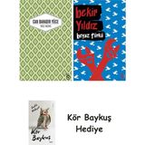 Alfa Yayınları Yaslı Mızıka + Beyaz Türkü + Kör Baykuş - Hayır