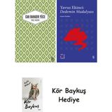 Alfa Yayınları Yaslı Mızıka + Everest Açıkhava 39 - Dedemin Madalyası + Kör Baykuş - Hayır