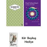 Alfa Yayınları Yaslı Mızıka + Everest Açıkhava 40 - Liwûna ile Kaidô + Kör Baykuş - Hayır