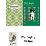 Alfa Yayınları Yaslı Mızıka + Everest Açıkhava 41 - Dört Hayvan Öyküsü + Kör Baykuş - Hayır