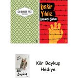 Alfa Yayınları Yaslı Mızıka + Kaçakçı Şahan + Kör Baykuş - Hayır