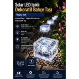 ALFAGİFT Solar LED Işıklı Dekoratif Bahçe Taşı Beyaz Işık IP44 Su Geçirmez Zemin Aydınlatma