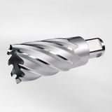 Alfra Hss Basıc Serisi 31X50MM Freze Ucu