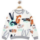 Alg ERKEK ÇOCUK RENKLİ GRAFİTİ BASKILI SWEATSHIRT - Gri - 12 Yaş