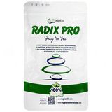 Algophyco Radix Pro Transdermal 15 Adet Flaster