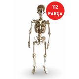 ALGWOOD Ahşap İnsan İskeleti Maketi | 112 Parça 3D Puzzle Hobi Seti - Anatomik Ahşap İskelet 3D Puzzle