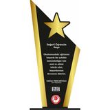 Alhediyenial Kişiye Özel Mezuniyet Plaketi-06 Ahşap Baskılı Dekoratif Hediye