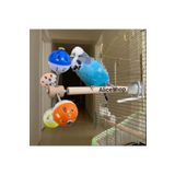 aliceshop 4 Toplu Tünekli Stres Oyuncağı Muhabbet Sultan Sevda Cennet Ve Boyutlarındaki Kuşlar İçin Uygundur