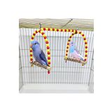 aliceshop Muhabbet Kuşu 2li Salıncak Kuş Oyuncağı Tünek