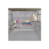 aliceshop Sultan papağanı ve Boyutlarındaki Kuşlar İçin 3lü Set Kuş Yatağı Salıncak Toplu Tünek