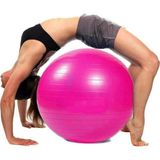 Alida 65 Cm Fuşya Pilates Topu Ve Şişirme Pompası, Yoga Plates Egzersiz Topu Ball
