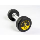 Alin HASGYM 2,5 KG Kauçuk Kaplı Profesyonel Olimpik DUMBBELL ( Dambıl )