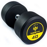 Alin Hasgym 40 kg Kauçuk Kaplı Profesyonel Olimpik Dumbbell ( Dambıl ) - Siyah