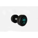 Alin Sport 15 kg Kauçuk Kaplı Profesyonel Olimpik Dumbbell ( Dambıl )-Yeşil - Siyah