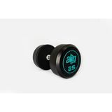 Alin Sport 25 KG Kauçuk Kaplı Profesyonel Olimpik DUMBBELL ( Dambıl )