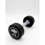 Alin Sport 2,5 kg Kauçuk Kaplı Profesyonel Olimpik Dumbbell ( Dambıl ) - Beyaz Alin - Siyah