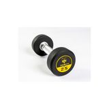 AlinSport HASGYM 2,5 KG Kauçuk Kaplı Profesyonel Olimpik DUMBBELL ( Dambıl )