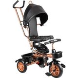 Aliş Toys Sweet Gold Ebeveyn Kontrollü 3 Tekerlekli Çocuk Bisikleti - Siyah