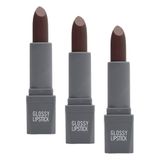ALIX AVIEN Uzun Süre Kalıcı Yoğun Renk Veren Nemlendirici Parlak Ruj - Glossy Lipstick 316 Dusty Plum (3 paketi)