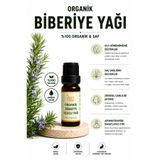 Aliye's Planet %100 Organik Biberiye Uçucu Yağı – Cilt Bakımı, Saç Güçlendirici & Saç Uzamasını Destekleyici