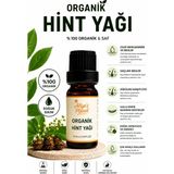 Aliye's Planet %100 Organik Hint Yağı (Castor Oil) -Soğuk Sıkım